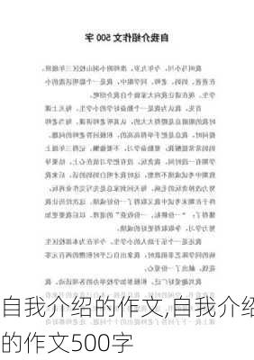 自我介绍的作文,自我介绍的作文500字