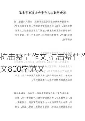 抗击疫情作文,抗击疫情作文800字范文-第2张图片-二喜范文网