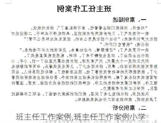 班主任工作案例,班主任工作案例小学-第1张图片-二喜范文网