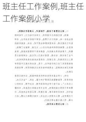 班主任工作案例,班主任工作案例小学-第2张图片-二喜范文网