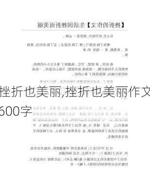 挫折也美丽,挫折也美丽作文600字-第3张图片-二喜范文网