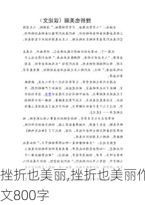 挫折也美丽,挫折也美丽作文800字-第3张图片-二喜范文网