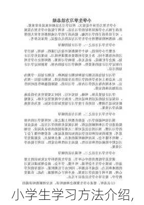 小学生学习方法介绍,