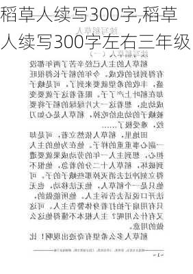 稻草人续写300字,稻草人续写300字左右三年级-第3张图片-二喜范文网