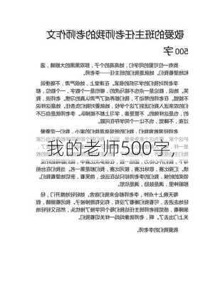 我的老师500字,