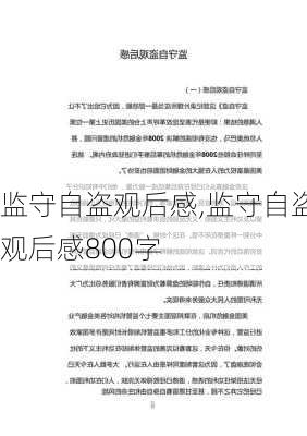 监守自盗观后感,监守自盗观后感800字-第3张图片-二喜范文网