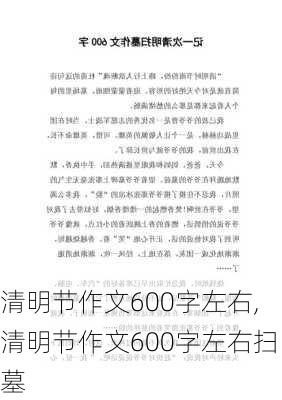 清明节作文600字左右,清明节作文600字左右扫墓-第3张图片-二喜范文网