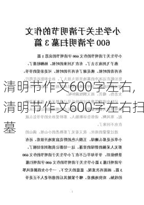 清明节作文600字左右,清明节作文600字左右扫墓-第2张图片-二喜范文网