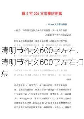 清明节作文600字左右,清明节作文600字左右扫墓-第1张图片-二喜范文网