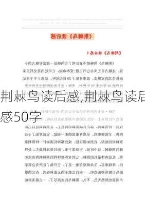 荆棘鸟读后感,荆棘鸟读后感50字-第3张图片-二喜范文网