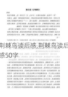 荆棘鸟读后感,荆棘鸟读后感50字-第2张图片-二喜范文网