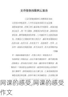 网课的感受,网课的感受作文