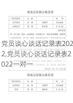 党员谈心谈话记录表2022,党员谈心谈话记录表2022一对一-第1张图片-二喜范文网