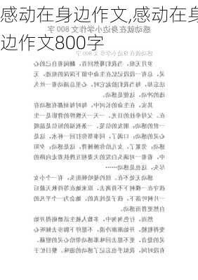 感动在身边作文,感动在身边作文800字