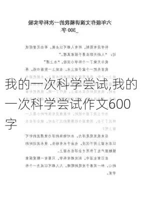 我的一次科学尝试,我的一次科学尝试作文600字-第3张图片-二喜范文网