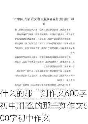 什么的那一刻作文600字初中,什么的那一刻作文600字初中作文