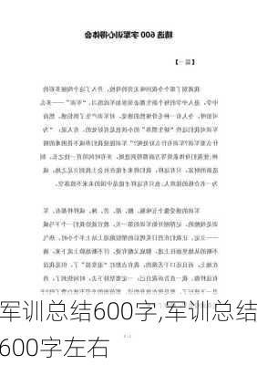 军训总结600字,军训总结600字左右-第1张图片-二喜范文网