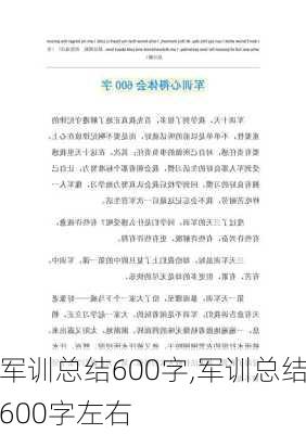 军训总结600字,军训总结600字左右-第3张图片-二喜范文网