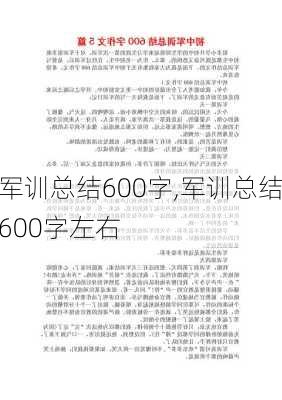 军训总结600字,军训总结600字左右-第2张图片-二喜范文网