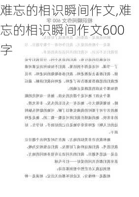 难忘的相识瞬间作文,难忘的相识瞬间作文600字-第1张图片-二喜范文网