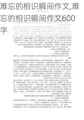 难忘的相识瞬间作文,难忘的相识瞬间作文600字-第3张图片-二喜范文网