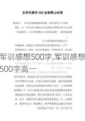 军训感想500字,军训感想500字高一-第2张图片-二喜范文网