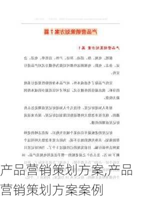 产品营销策划方案,产品营销策划方案案例-第2张图片-二喜范文网