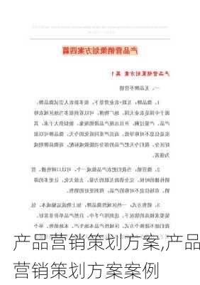 产品营销策划方案,产品营销策划方案案例-第3张图片-二喜范文网