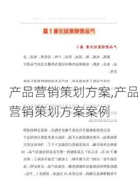 产品营销策划方案,产品营销策划方案案例