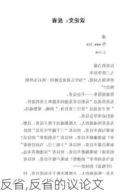 反省,反省的议论文-第1张图片-二喜范文网