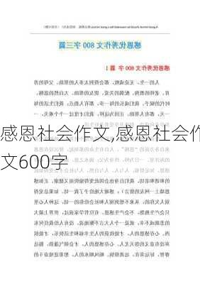 感恩社会作文,感恩社会作文600字-第3张图片-二喜范文网