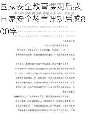 国家安全教育课观后感,国家安全教育课观后感800字-第2张图片-二喜范文网