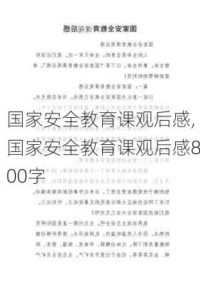 国家安全教育课观后感,国家安全教育课观后感800字-第1张图片-二喜范文网