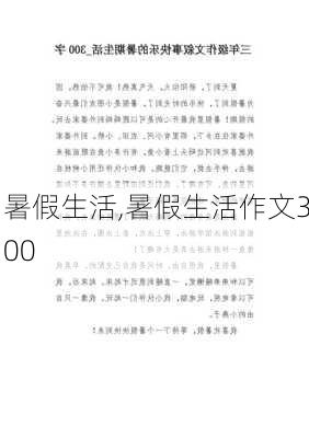 暑假生活,暑假生活作文300-第3张图片-二喜范文网