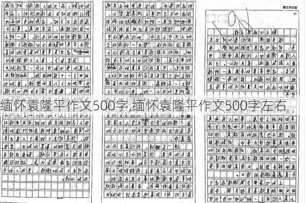 缅怀袁隆平作文500字,缅怀袁隆平作文500字左右