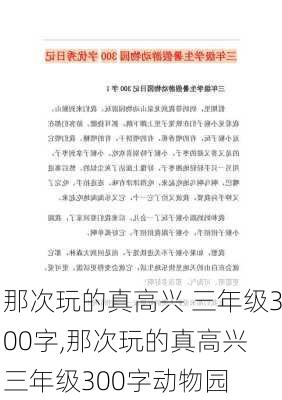 那次玩的真高兴 三年级300字,那次玩的真高兴 三年级300字动物园-第3张图片-二喜范文网