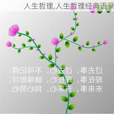 人生哲理,人生哲理经典语录-第1张图片-二喜范文网