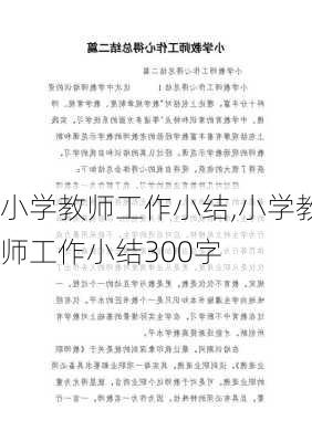 小学教师工作小结,小学教师工作小结300字-第2张图片-二喜范文网