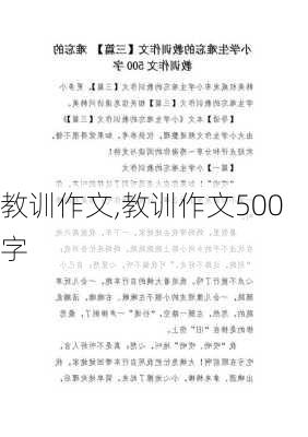 教训作文,教训作文500字-第2张图片-二喜范文网