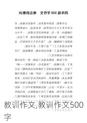 教训作文,教训作文500字-第3张图片-二喜范文网