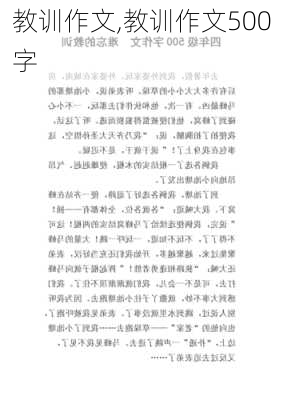 教训作文,教训作文500字-第3张图片-二喜范文网