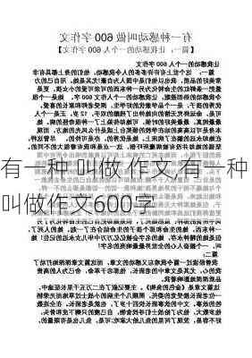 有一种 叫做 作文,有一种叫做作文600字-第3张图片-二喜范文网