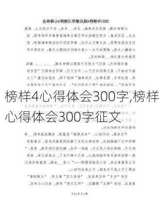 榜样4心得体会300字,榜样心得体会300字征文-第3张图片-二喜范文网