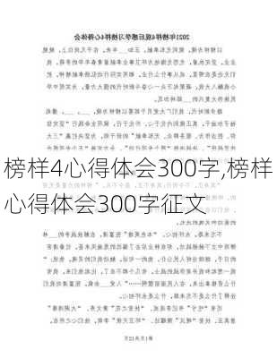 榜样4心得体会300字,榜样心得体会300字征文-第3张图片-二喜范文网