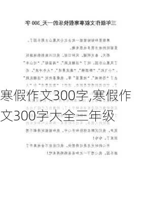 寒假作文300字,寒假作文300字大全三年级