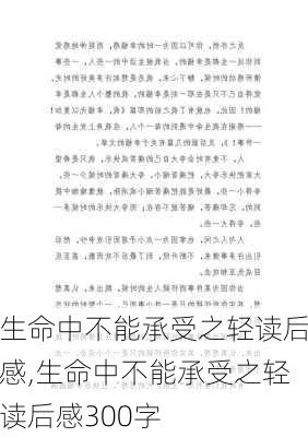 生命中不能承受之轻读后感,生命中不能承受之轻读后感300字-第2张图片-二喜范文网