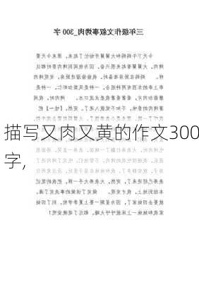 描写又肉又黄的作文300字,