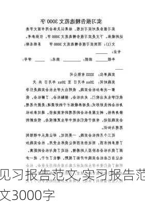 见习报告范文,实习报告范文3000字-第2张图片-二喜范文网