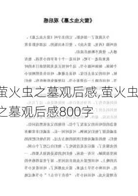 萤火虫之墓观后感,萤火虫之墓观后感800字