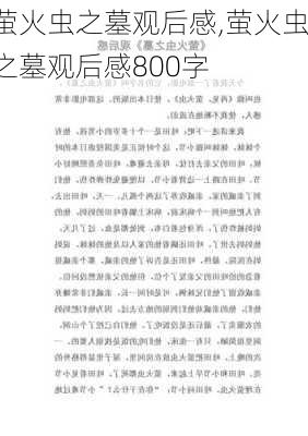 萤火虫之墓观后感,萤火虫之墓观后感800字-第1张图片-二喜范文网